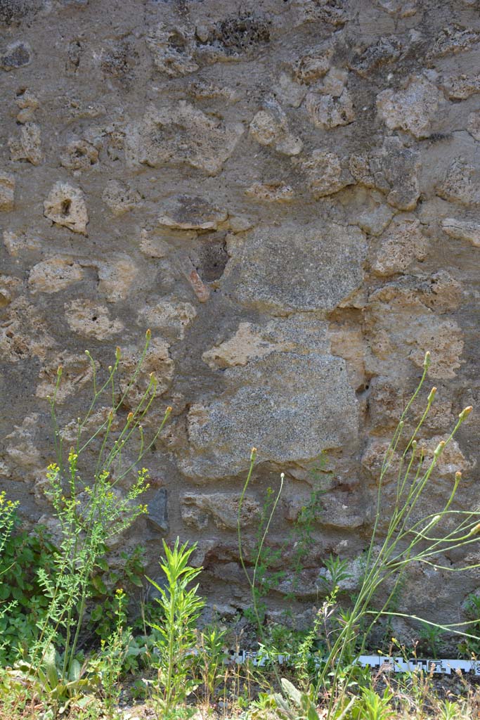 IX.5.6 Pompeii. May 2017. Room u, detail from west wall.  
Foto Christian Beck, ERC Grant 681269 DÉCOR.