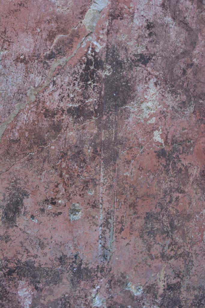 IX.5.6 Pompeii. May 2017. 
West ala d, south wall at east end, detail of carpet border edging of panel.
Foto Christian Beck, ERC Grant 681269 DÉCOR.