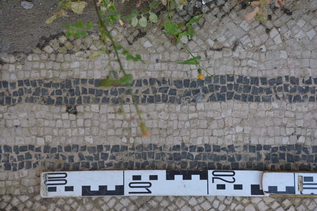 IX.5.6 Pompeii. May 2017. West ala d, flooring, white tesserae with two black bands.
Foto Christian Beck, ERC Grant 681269 DÉCOR.