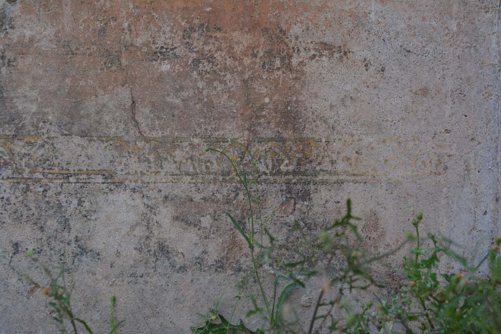 IX.5.6 Pompeii. May 2017. West ala d, west wall at north end, detail of painted decoration on zoccolo.
Foto Christian Beck, ERC Grant 681269 DÉCOR.