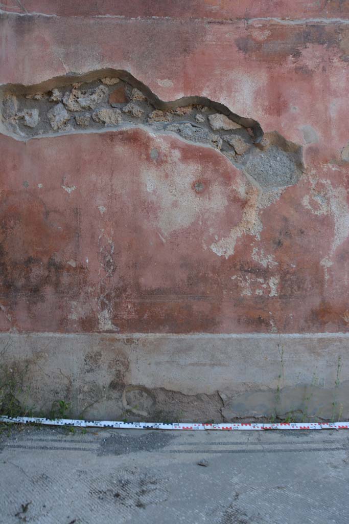 IX.5.6 Pompeii. May 2017. West ala d, north wall, area of central panel.
Foto Christian Beck, ERC Grant 681269 DÉCOR.
In the central panel of the black zoccolo, there was a picture with a dolphin supported by slender cornucopias and flanked by arched garlands: the side panels were crossed by carpet borders of triangles and semicircles; in the dividing compartments there were painted plants with long lanceolate leaves.
See Carratelli, G. P., 1990-2003. Pompei: Pitture e Mosaici. IX. (9). Roma: Istituto della enciclopedia italiana, p. 414. Nos 20-22).
