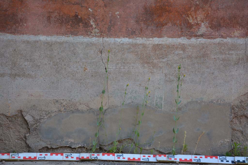 IX.5.6 Pompeii. May 2017. West ala d, panel from zoccolo in centre at east end of north wall.
Foto Christian Beck, ERC Grant 681269 DÉCOR.