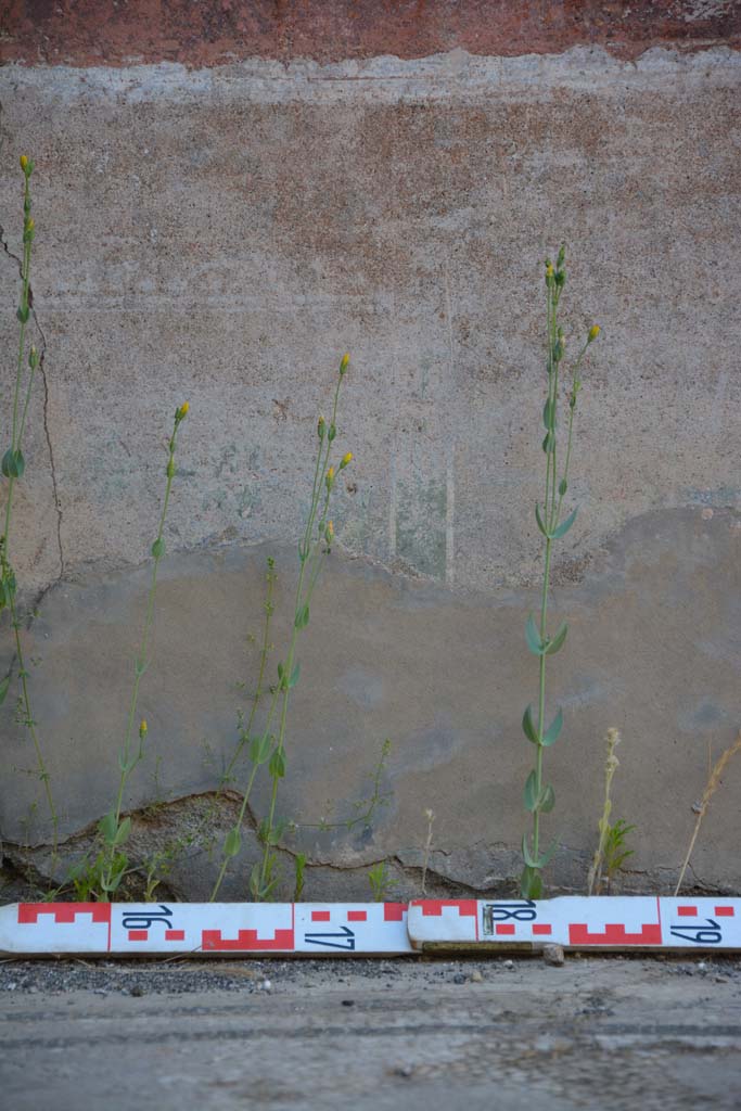 IX.5.6 Pompeii. May 2017. West ala d, detail of zoccolo on north wall. 
Foto Christian Beck, ERC Grant 681269 DÉCOR.