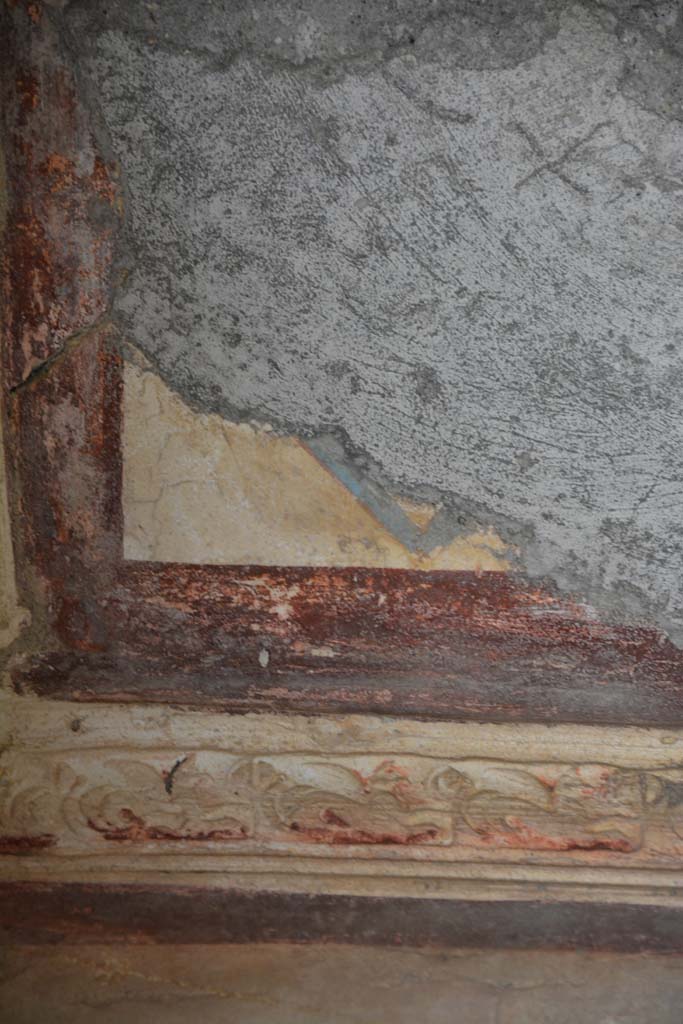 IX.5.6 Pompeii. May 2017. 
Room h, detail from stucco cornice with marine griffins on south wall, with purple ceiling border, above.  
Foto Christian Beck, ERC Grant 681269 DÉCOR.