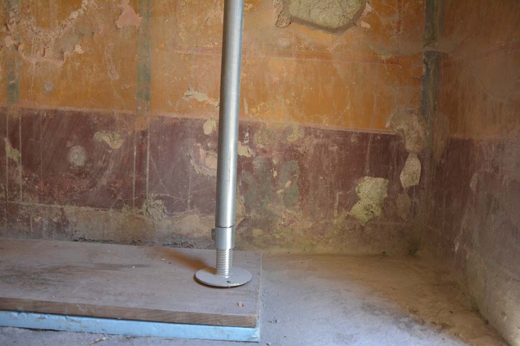 IX.5.6 Pompeii. May 2017. Room h, looking towards north wall at east end.  
Foto Christian Beck, ERC Grant 681269 DÉCOR.
The purple zoccolo shows, in the long side panels, plants with wide fleshy leaves and in the central compartment a plate.