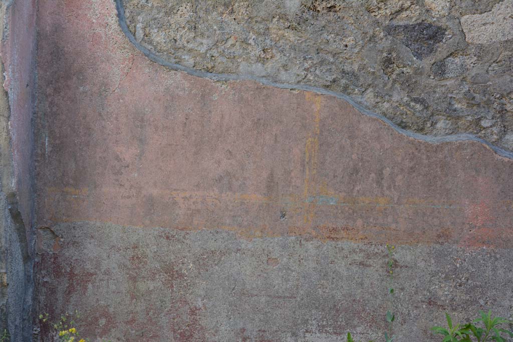 IX.5.6 Pompeii. May 2017. Room f, detail from zoccolo in south-west corner. 
Foto Christian Beck, ERC Grant 681269 DÉCOR.