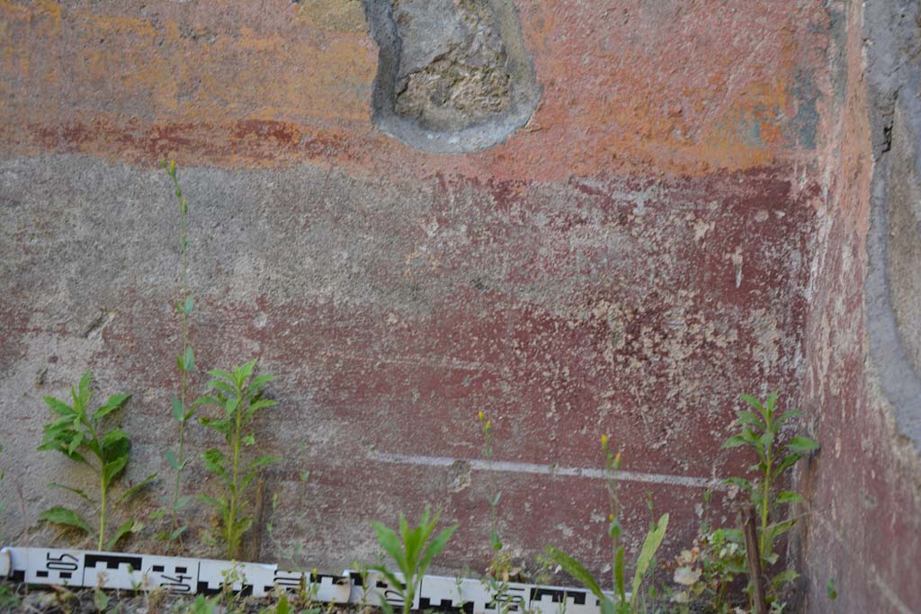 IX.5.6 Pompeii. May 2017. Room f, detail of zoccolo on west wall in north-west corner. 
Foto Christian Beck, ERC Grant 681269 DÉCOR.