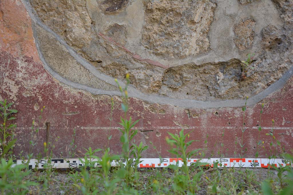 IX.5.6 Pompeii. May 2017. Room f, detail from zoccolo on north wall at west end
Foto Christian Beck, ERC Grant 681269 DÉCOR.