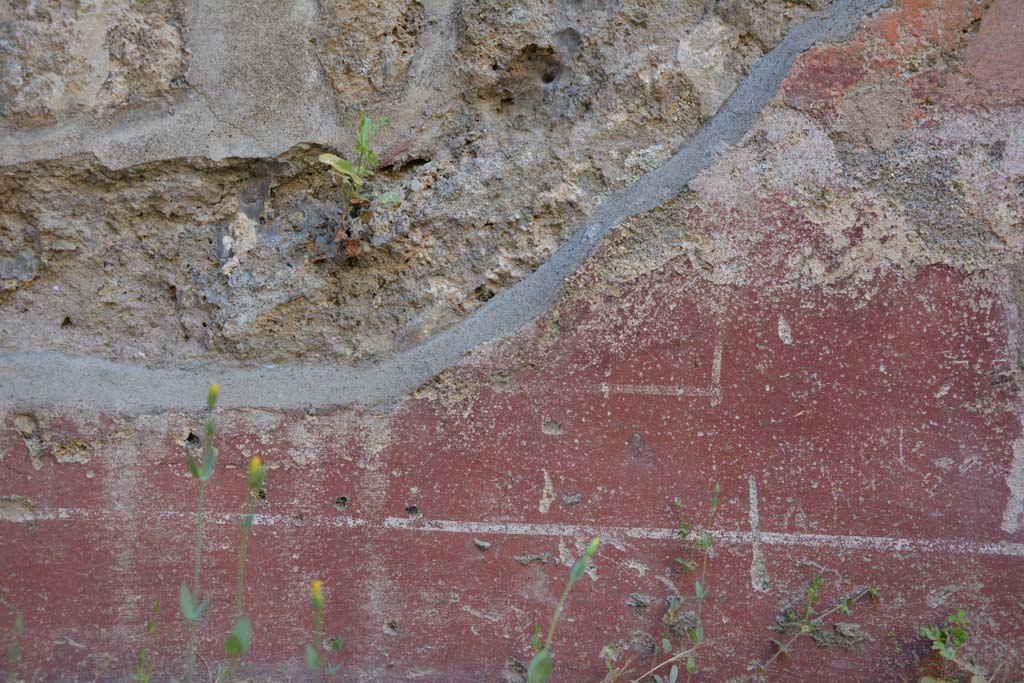 IX.5.6 Pompeii. May 2017. Room f, detail from zoccolo on north wall at east end
Foto Christian Beck, ERC Grant 681269 DÉCOR.