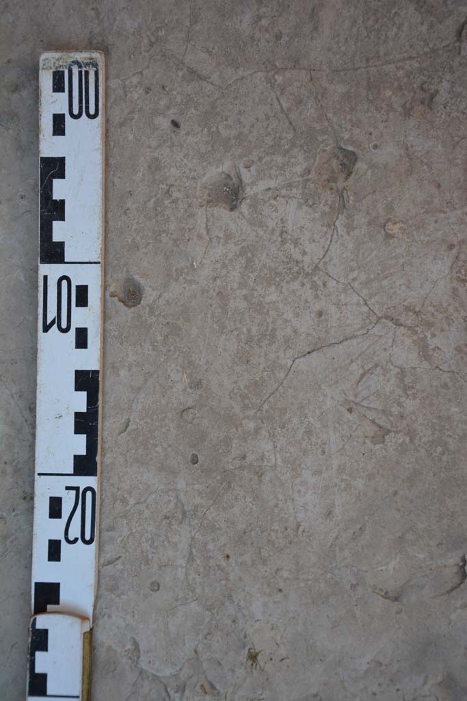 IX.5.6 Pompeii. May 2017. Room f, detail from flooring in north-east corner. 
Foto Christian Beck, ERC Grant 681269 DÉCOR.