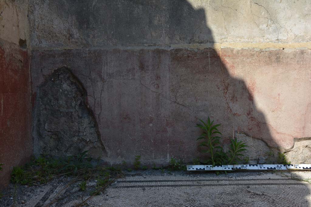 IX.5.6 Pompeii. May 2017. East ala e, zoccolo at north end of east wall 
Foto Christian Beck, ERC Grant 681269 DÉCOR.