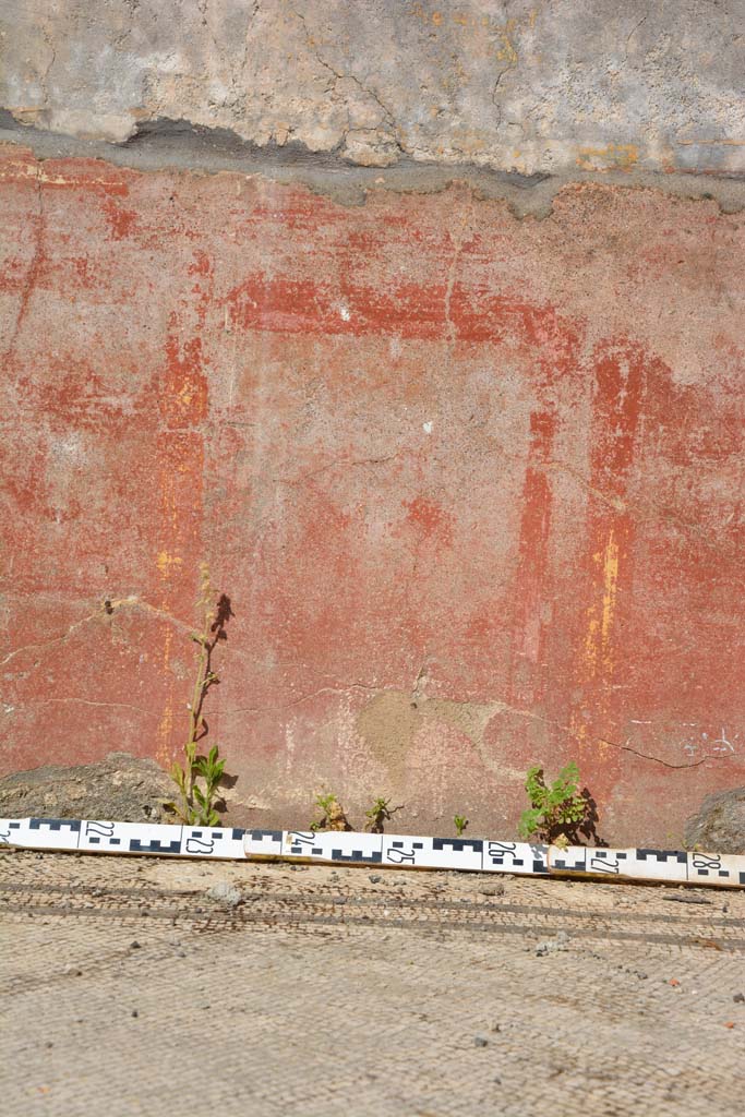 IX.5.6 Pompeii. May 2017. East ala e, detail of compartment of zoccolo on east wall 
Foto Christian Beck, ERC Grant 681269 DÉCOR.