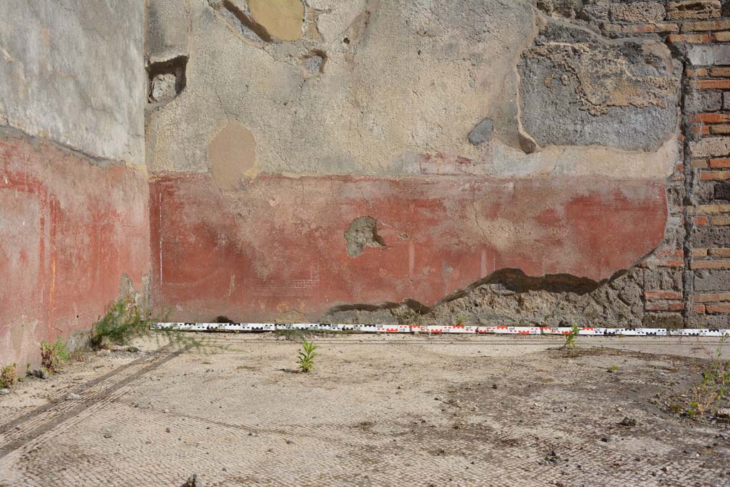 IX.5.6 Pompeii. May 2017. East ala e, looking across flooring towards zoccolo on south wall. 
Foto Christian Beck, ERC Grant 681269 DÉCOR.