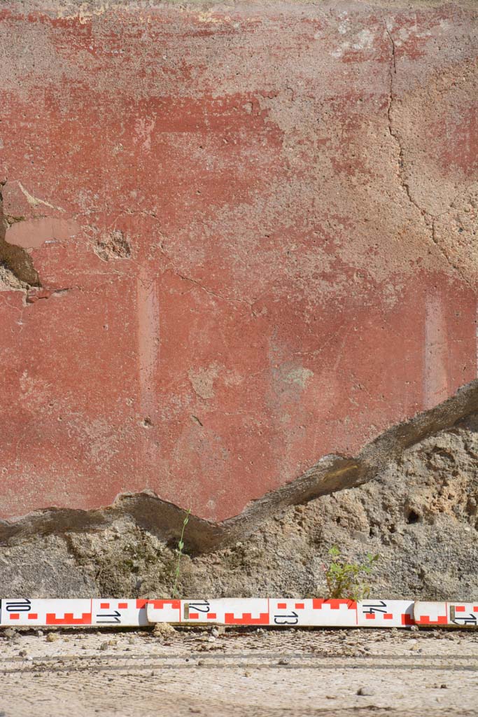 IX.5.6 Pompeii. May 2017. East ala e, detail of zoccolo in centre of south wall. 
Foto Christian Beck, ERC Grant 681269 DÉCOR.