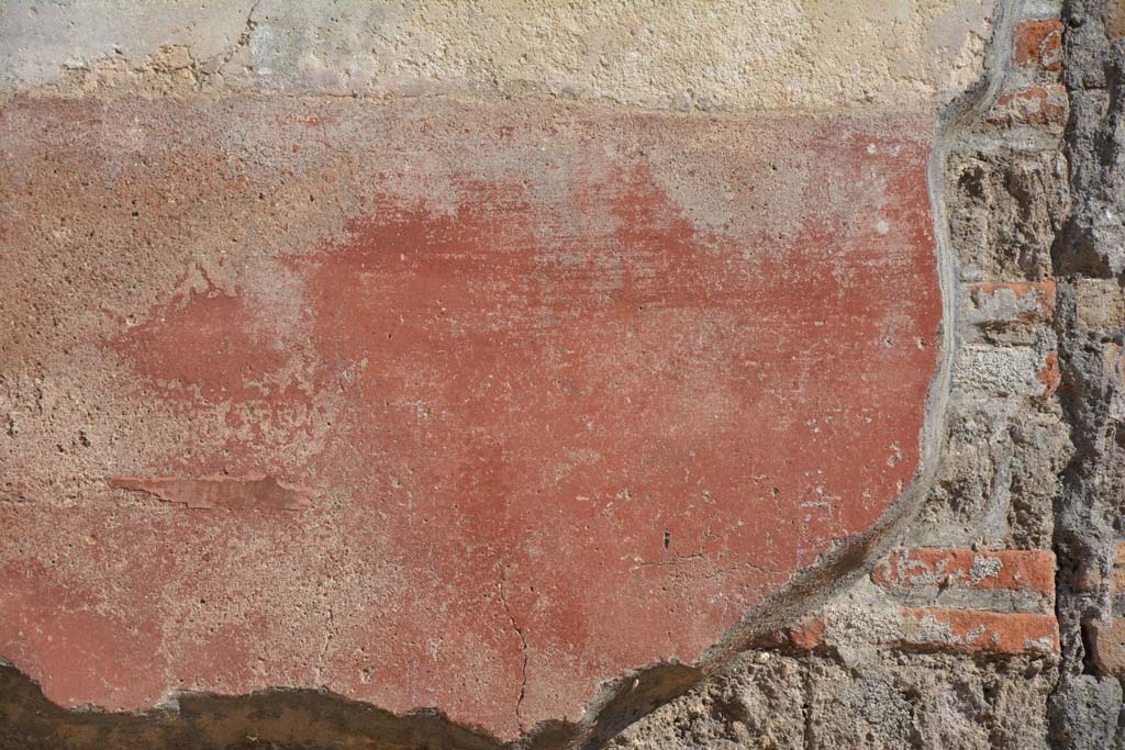 IX.5.6 Pompeii. May 2017. East ala e, detail of zoccolo on south wall at west end. 
Foto Christian Beck, ERC Grant 681269 DÉCOR.