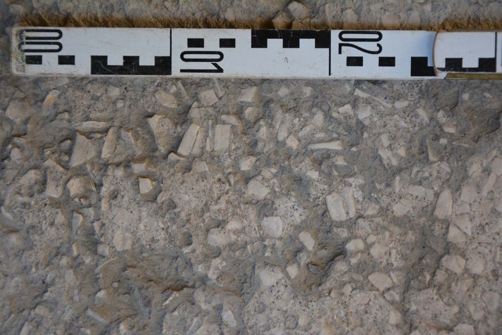IX.5.6 Pompeii. May 2017. Room g, detail of flooring. 
Foto Christian Beck, ERC Grant 681269 DÉCOR.