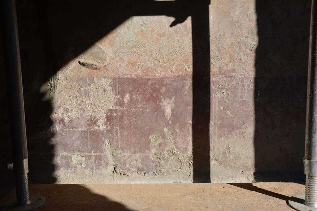 IX.5.6 Pompeii. May 2017. Room g, detail from zoccolo on south wall.  
Foto Christian Beck, ERC Grant 681269 DÉCOR.