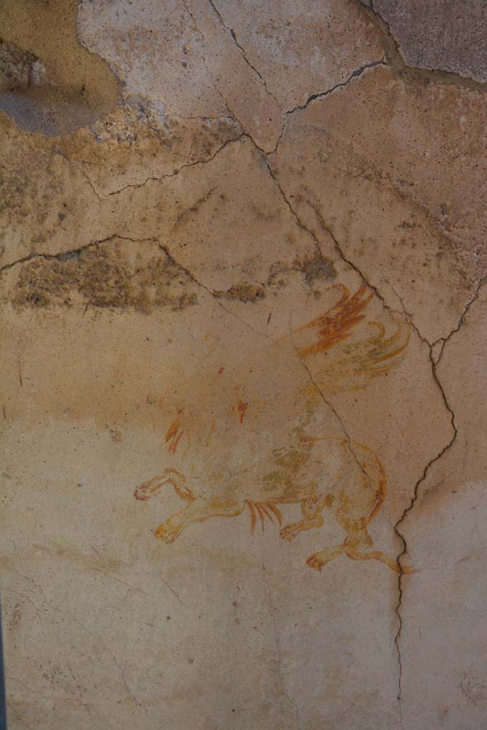 IX.5.6 Pompeii. May 2017. Room k, (west side), detail from north wall. 
Foto Christian Beck, ERC Grant 681269 DÉCOR.