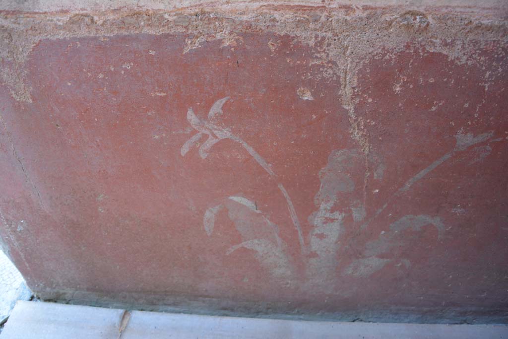 IX.5.6 Pompeii. May 2017. Room k, (east side), detail of painted plant from zoccolo on north wall. 
Foto Christian Beck, ERC Grant 681269 DÉCOR.
