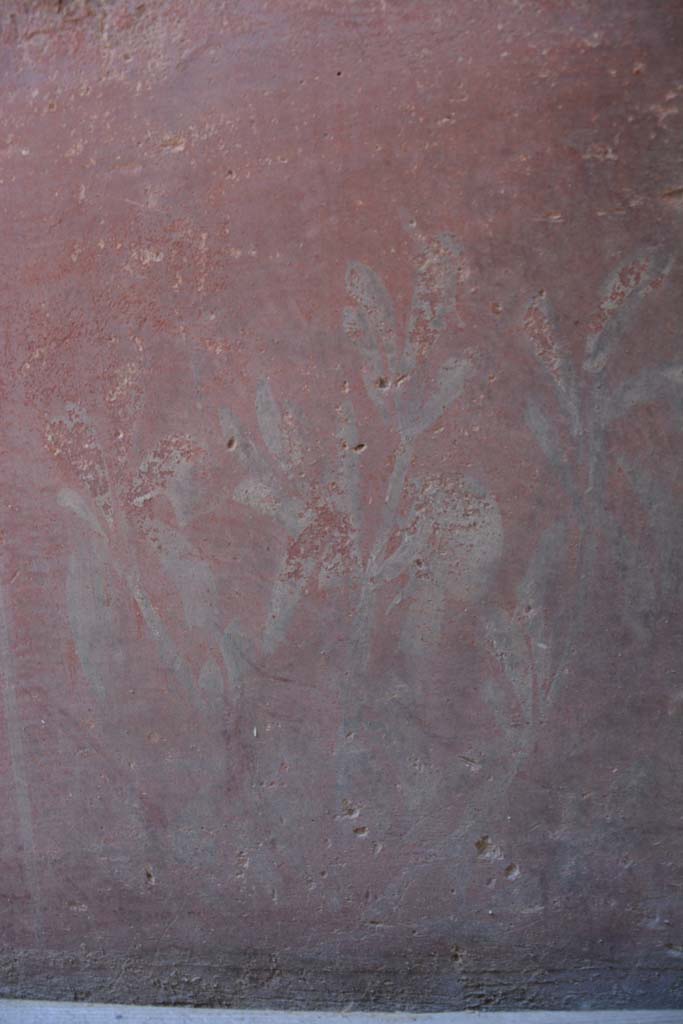 IX.5.6 Pompeii. May 2017. 
Room k, (east side), detail of painted plant from zoccolo of north wall. 
Foto Christian Beck, ERC Grant 681269 DÉCOR.