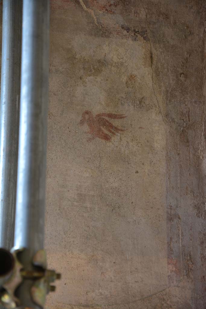 IX.5.6 Pompeii. May 2017. 
Room k, (east side), detail of painted swan from upper east end of north wall. 
Foto Christian Beck, ERC Grant 681269 DÉCOR.