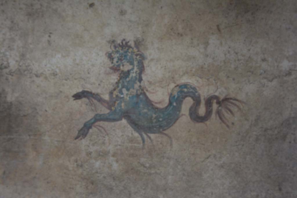 IX.5.6 Pompeii. March 2017. Room k’, detail of sea monster from east wall in north-east corner. 
Foto Christian Beck, ERC Grant 681269 DÉCOR.