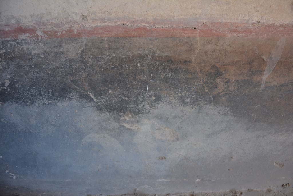 IX.5.6 Pompeii. May 2017. Room k’, detail of painted plant from zoccolo on east wall. 
Foto Christian Beck, ERC Grant 681269 DÉCOR.