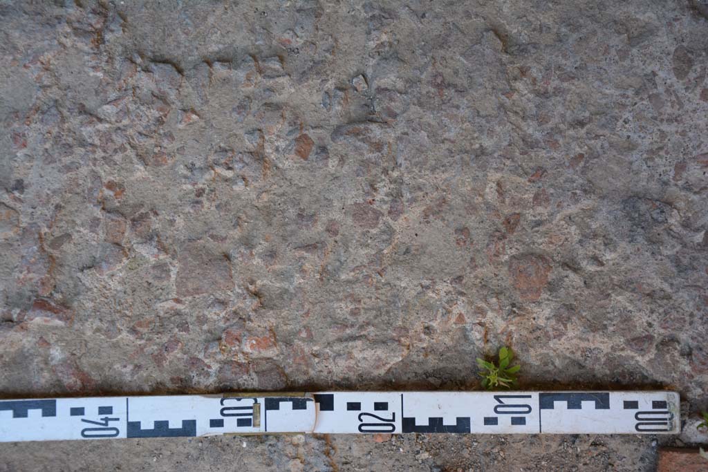 IX.5.6 Pompeii. May 2017. Room l (L), flooring. 
Foto Christian Beck, ERC Grant 681269 DÉCOR.
