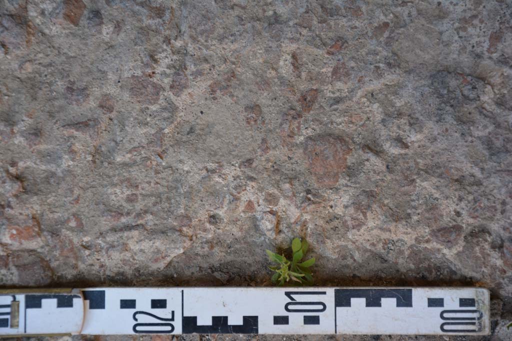 IX.5.6 Pompeii. May 2017. Room l (L), detail of flooring. 
Foto Christian Beck, ERC Grant 681269 DÉCOR.