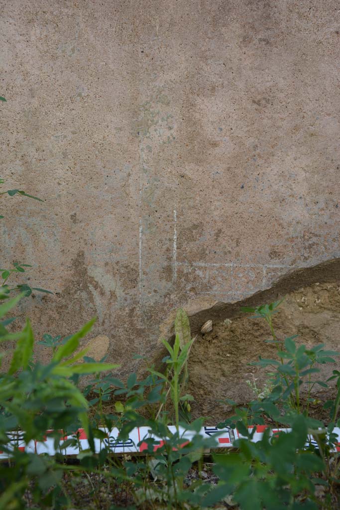 IX.5.6 Pompeii. May 2017. Room a, remaining decoration on zoccolo of west wall.
Foto Christian Beck, ERC Grant 681269 DÉCOR.