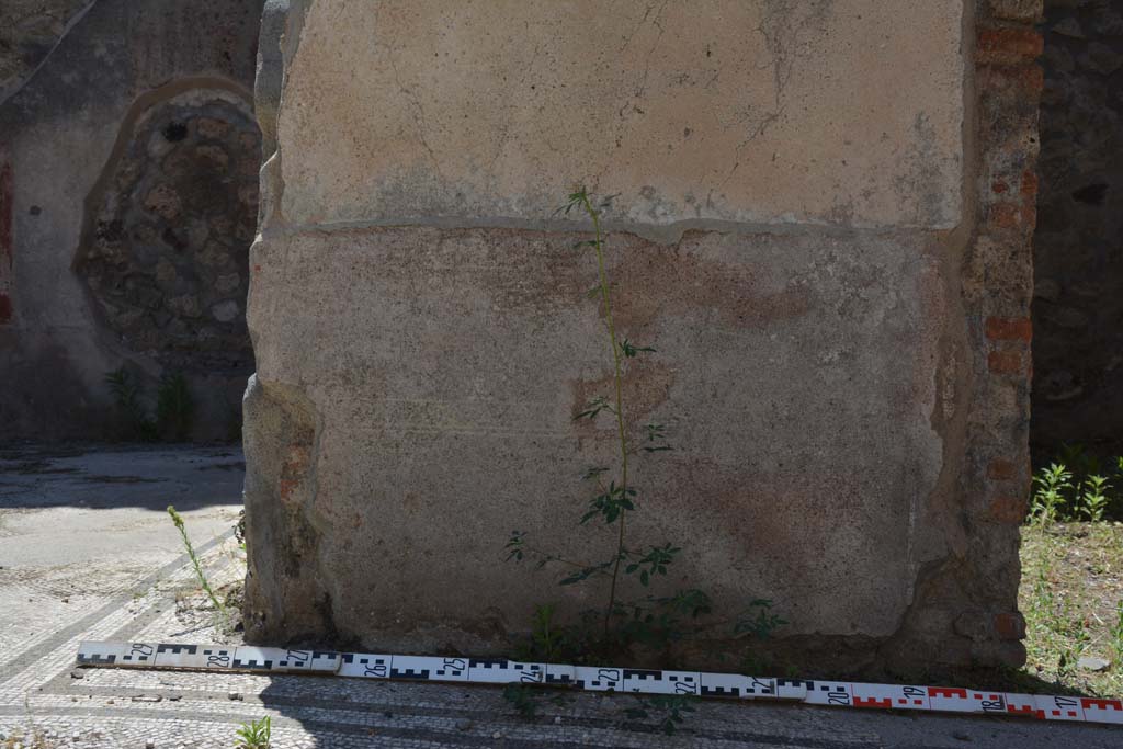 IX.5.6 Pompeii. May 2017. Room a, detail from zoccolo on west wall.
Foto Christian Beck, ERC Grant 681269 DÉCOR.