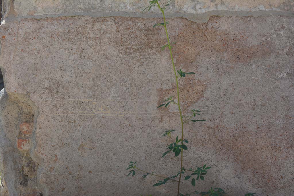 IX.5.6 Pompeii. May 2017. Room a, detail of painted decoration from zoccolo on west wall.
Foto Christian Beck, ERC Grant 681269 DÉCOR.