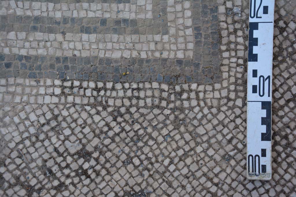 IX.5.6 Pompeii. May 2017. Atrium c’, detail of mosaic border on floor between rooms h and g. 
Foto Christian Beck, ERC Grant 681269 DÉCOR.