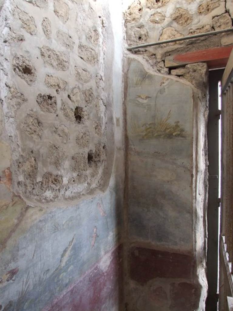 IX.5.9 Pompeii. December 2007. Room 8, east wall in north-east corner, with ducks and river scene.