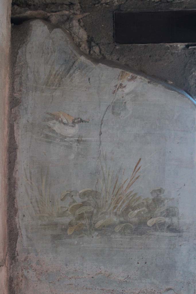 IX.5.9 Pompeii. May 2019. Room “l (L)”, detail from upper east wall.  
Foto Christian Beck, ERC Grant 681269 DÉCOR.
