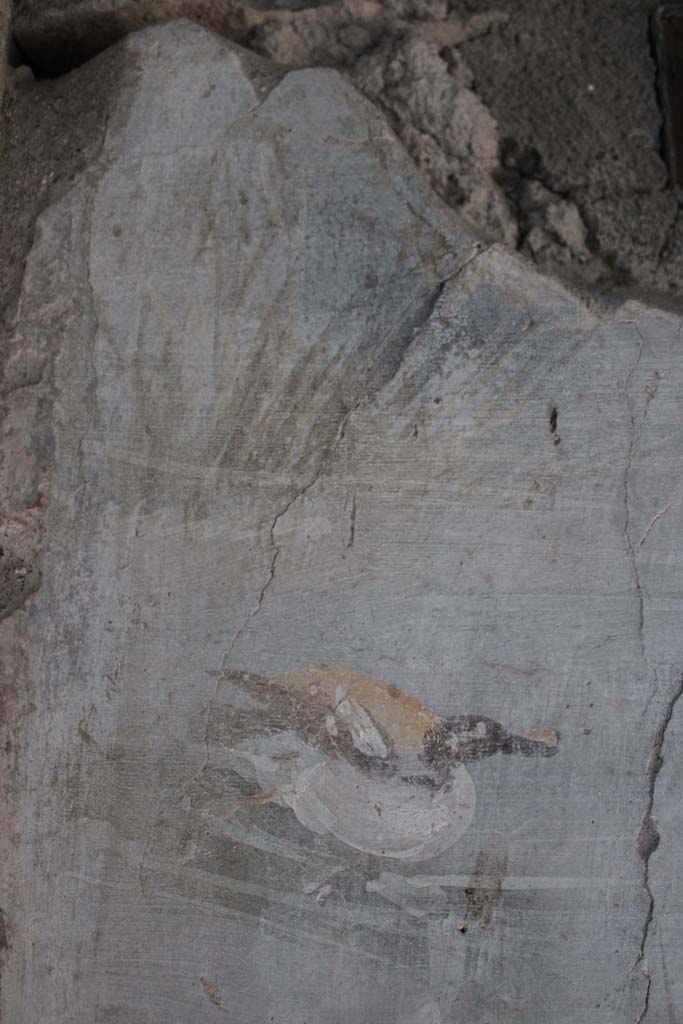 IX.5.9 Pompeii. May 2019. Room “l (L)”, detail of painted duck from upper east wall.  
Foto Christian Beck, ERC Grant 681269 DÉCOR.