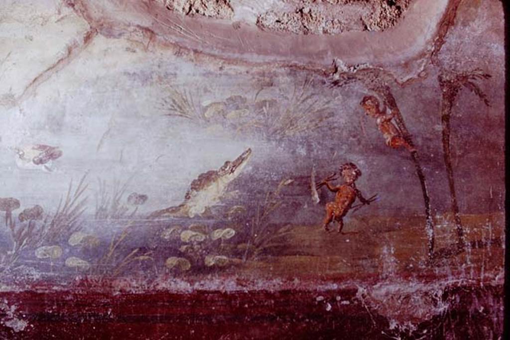 IX.5.9 Pompeii. 1974. Room 8, north wall at east end, showing a pygmy climbing a palm tree trying to escape the crocodile. Photo by Stanley A. Jashemski.   
Source: The Wilhelmina and Stanley A. Jashemski archive in the University of Maryland Library, Special Collections (See collection page) and made available under the Creative Commons Attribution-Non Commercial License v.4. See Licence and use details. J74f0148