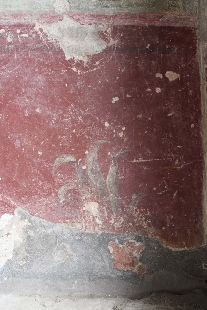 IX.5.9 Pompeii. May 2019. Room l (L), zoccolo on lower north wall at east end.  
Foto Christian Beck, ERC Grant 681269 DÉCOR.