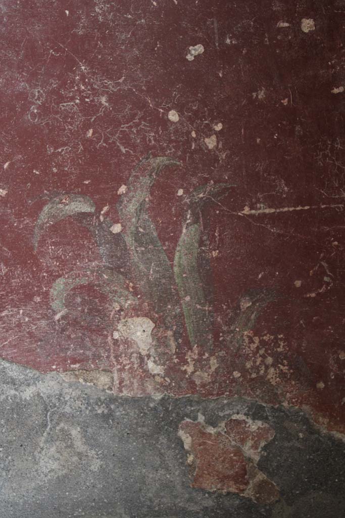 IX.5.9 Pompeii. May 2019. 
Room l (L), detail of painted plant on lower zoccolo of north wall at east end.  
Foto Christian Beck, ERC Grant 681269 DÉCOR.