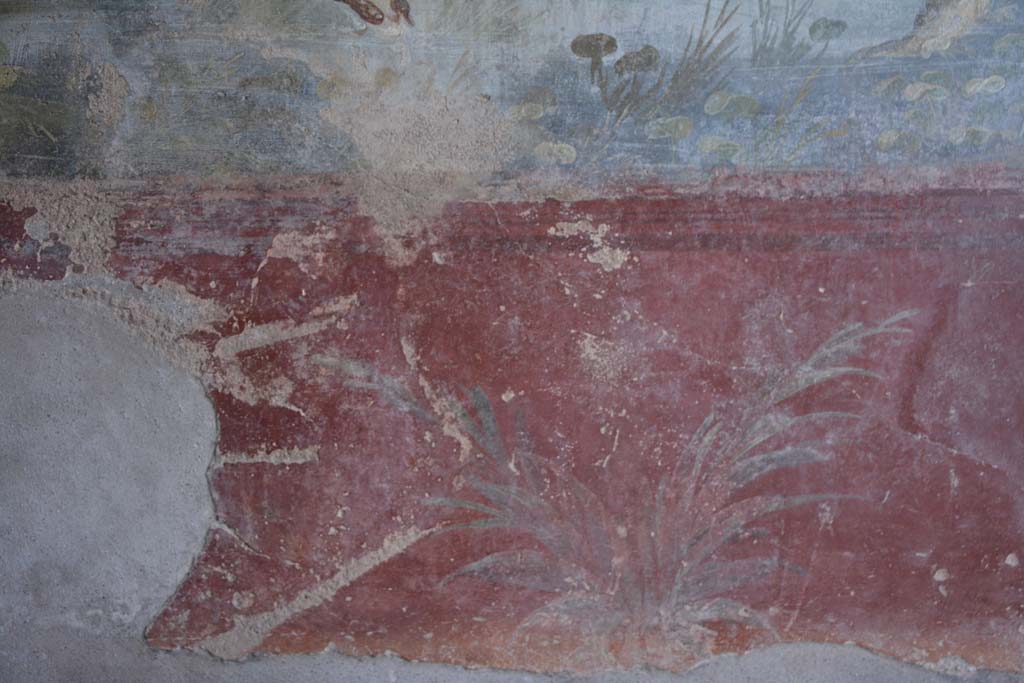 IX.5.9 Pompeii. March 2017. Room “l (L)”, zoccolo on lower north wall towards centre.  
Foto Christian Beck, ERC Grant 681269 DÉCOR.