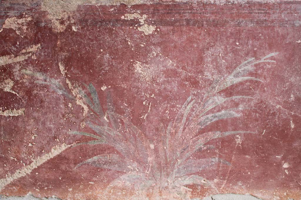 IX.5.9 Pompeii. May 2019. Room l (L), zoccolo on lower north wall towards centre.  
Foto Christian Beck, ERC Grant 681269 DÉCOR.