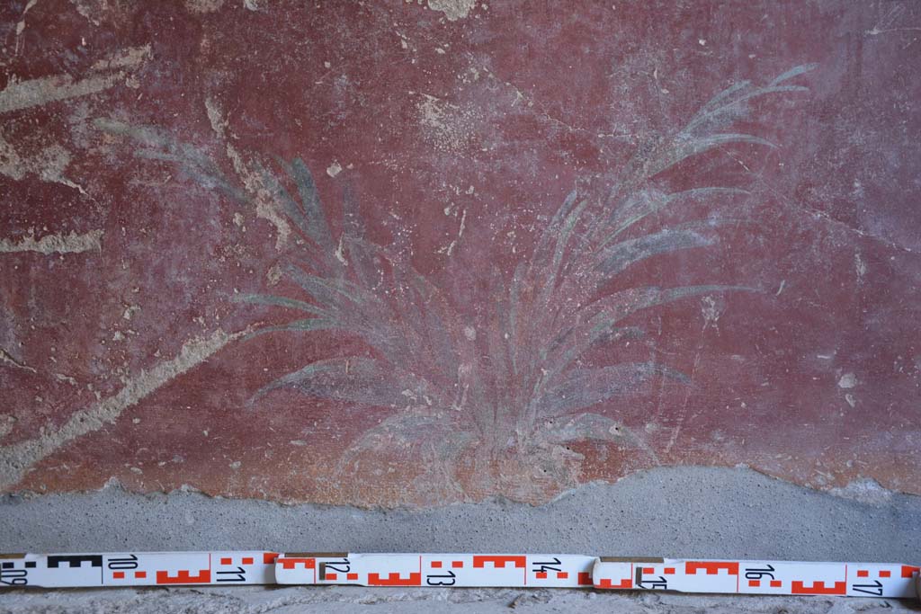 IX.5.9 Pompeii. May 2017. Room “l (L)”, detail of painted plants on zoccolo on lower north wall towards centre.  
Foto Christian Beck, ERC Grant 681269 DÉCOR.