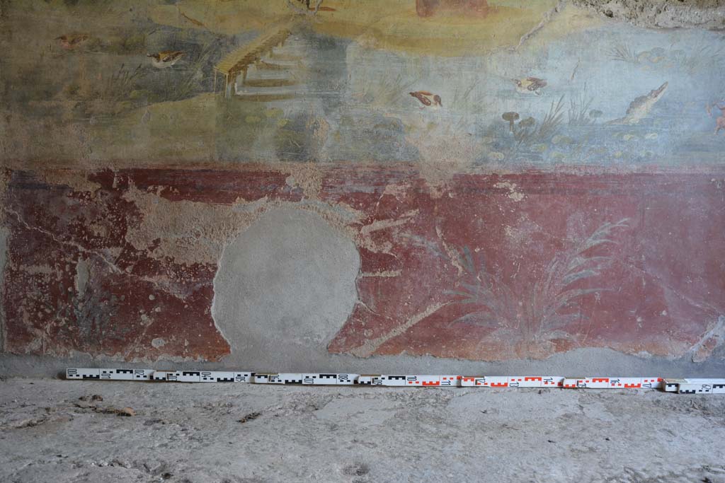 IX.5.9 Pompeii. May 2017. Room “l (L)”, zoccolo on lower north wall. 
Foto Christian Beck, ERC Grant 681269 DÉCOR.