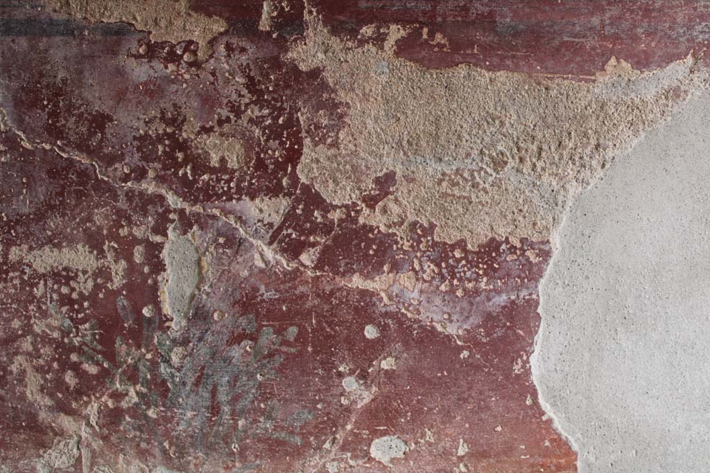 IX.5.9 Pompeii. May 2019. Room l (L), zoccolo on lower north wall at west end, continuation.  
Foto Christian Beck, ERC Grant 681269 DÉCOR.