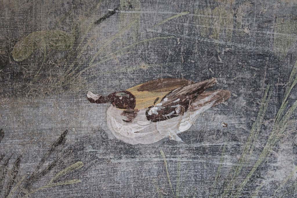 IX.5.9 Pompeii. May 2019. Room l (L), detail of duck on river.  
Foto Christian Beck, ERC Grant 681269 DÉCOR.