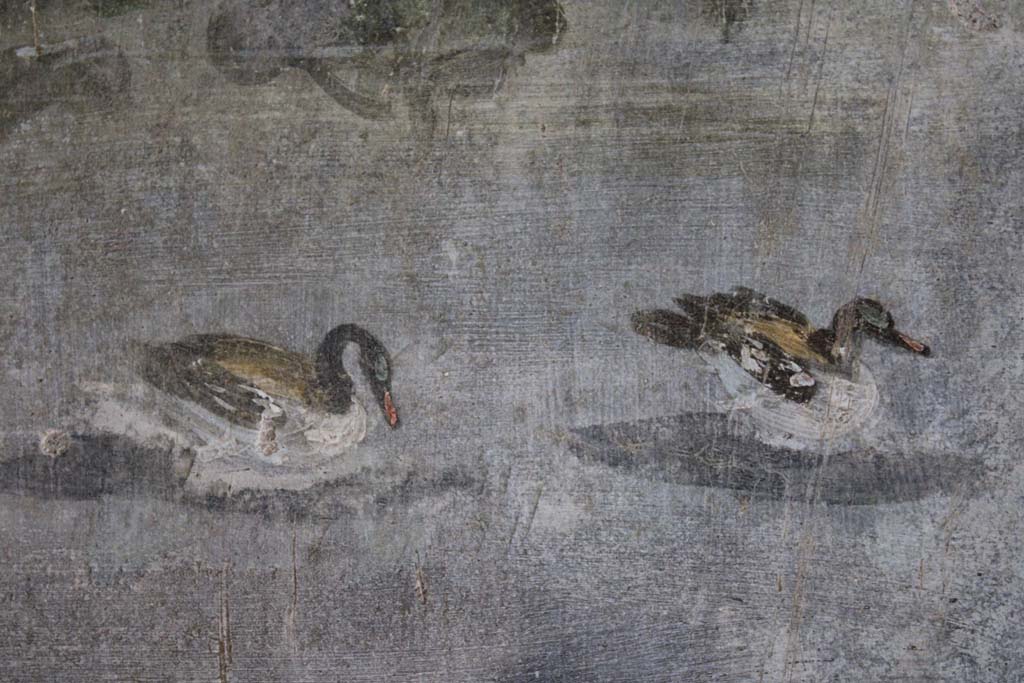 IX.5.9 Pompeii. May 2019. Room “l (L)”, detail of ducks from north wall at west end.  
Foto Christian Beck, ERC Grant 681269 DÉCOR.