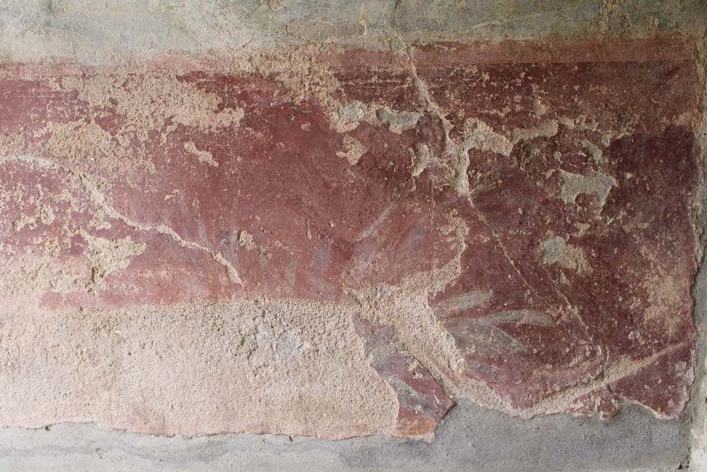 IX.5.9 Pompeii. May 2019. Room “l (L)”, detail of zoccolo with painted plants at west end of south wall.  
Foto Christian Beck, ERC Grant 681269 DÉCOR.