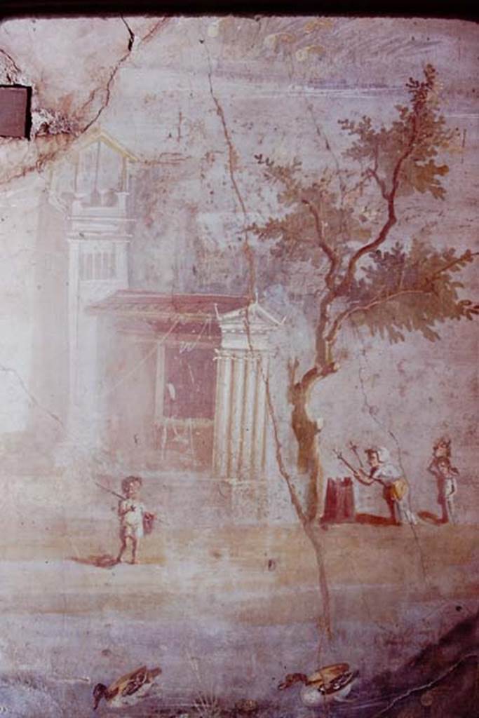 IX.5.9 Pompeii. 1974. Room 8. Painted wall decoration from south wall, west end. 
Photo by Stanley A. Jashemski.   
Source: The Wilhelmina and Stanley A. Jashemski archive in the University of Maryland Library, Special Collections (See collection page) and made available under the Creative Commons Attribution-Non Commercial License v.4. See Licence and use details. J74f0147