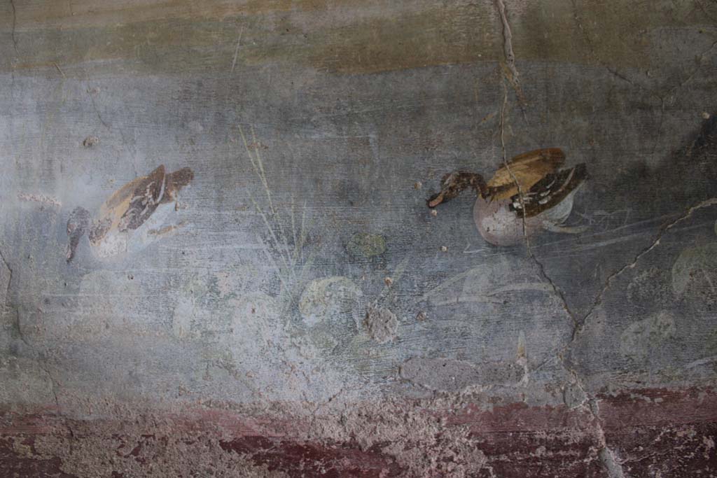 IX.5.9 Pompeii. May 2019. Room “l (L)”, two painted ducks from south wall at west end.  
Foto Christian Beck, ERC Grant 681269 DÉCOR.