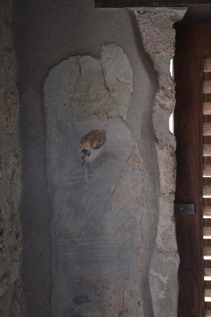 IX.5.9 Pompeii. March 2017. Room “l (L)”, south wall at east end of window.  
Foto Christian Beck, ERC Grant 681269 DÉCOR.